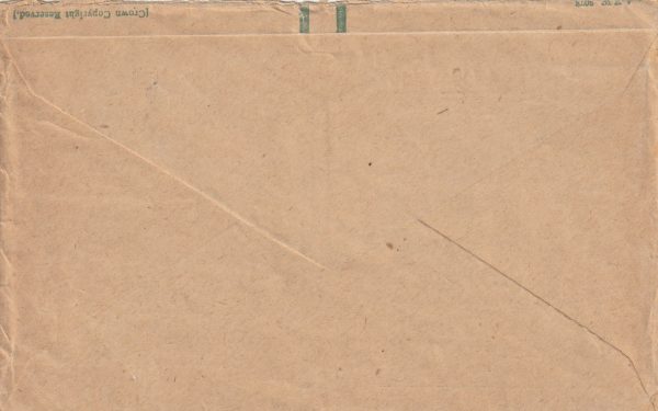 1918  PALESTINE - NEW ZEALAND..ANZAC MOUNTED DIVISION TRAIN.. [22879] - Image 2