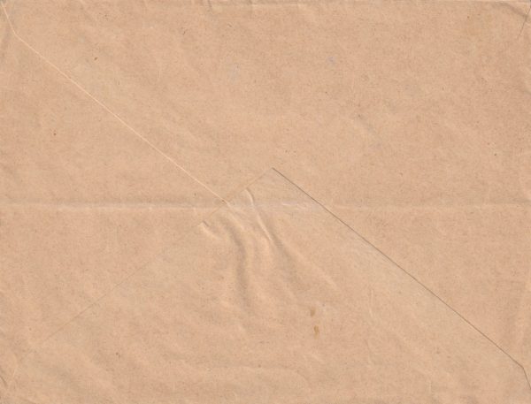 1921 CZECHOSLOVAKIA - AUSTRIA ..RELIEF AID & POSTAGE DUES.. [23131] - Image 2